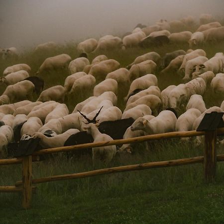 Osada Matygowka Villa Gliczarów Eksteriør bilde